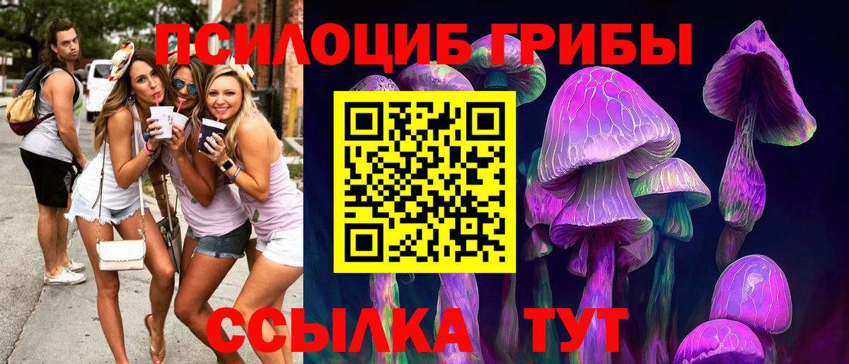 Псилоцибиновые грибы Psilocybe  Вход с VPN  Псилоцибиновые грибы мицелий  Донской 